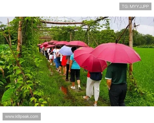 凯发真人版会员注册流程详解助你轻松开启线上娱乐新体验 凯发真人版会员注册流程详解助你轻松开启线上娱乐新体验