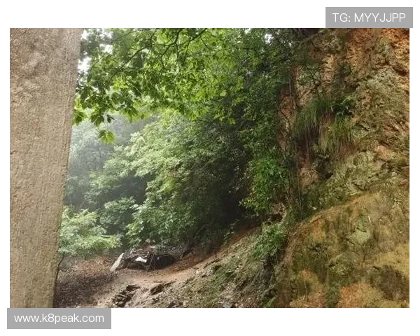 凯发体育注册账号查询不到时的应急处理方案与客服联系方式