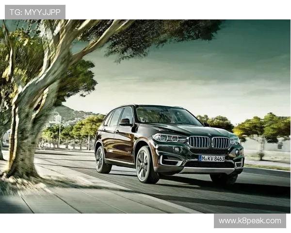 凯发奔驰宝马平台优惠活动时间安排与参与方式全攻略